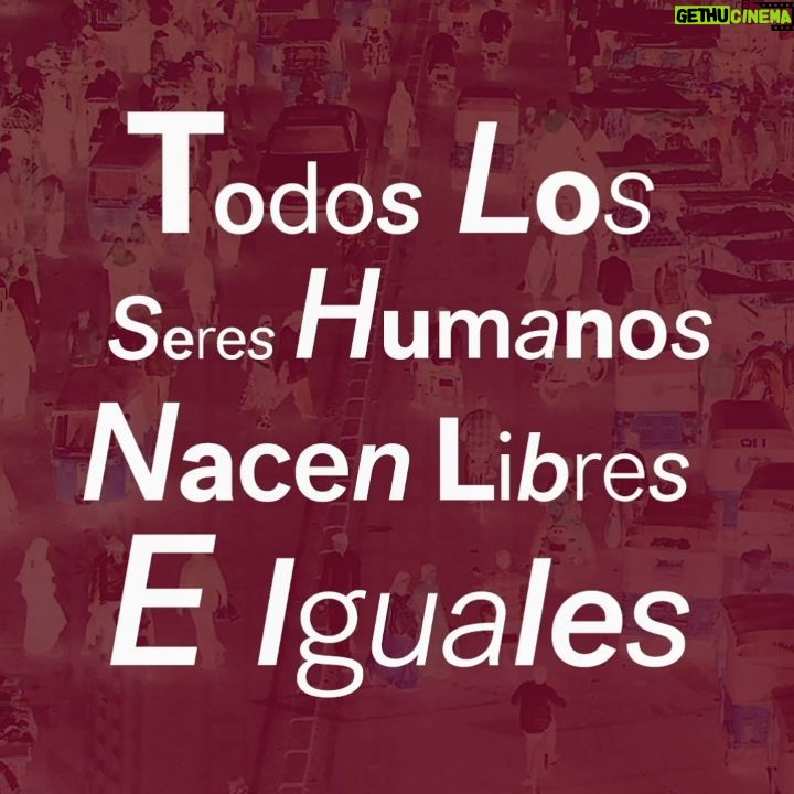 María Valverde Instagram - Because it doesn't matter what language you think or speak: all human beings are born free and equal in dignity and rights. Thanks @maxrichtermusic and @yuliamahr for making me part of this wonderful project for #HumanRightsDay, recording in Spanish the Universal Declaration of Human Rights. Please, take your time to listening on your favorite digital music service the International Voices edition of the opening track from Max Richter and Yulia Mahr's VOICES. https://maxrichter.lnk.to/AllHumanBeingsTW ----- Porque no importa en qué idioma pienses o hables: todos los seres humanos nacen libres e iguales en dignidad y derechos. Gracias, @maxrichtermusic and @YuliaMahr por hacerme formar parte de este maravilloso proyecto para el #DíaDeLosDerechosHumanos, grabando en español la Declaración Universal de los Derechos Humanos. Por favor, tómate tu tiempo para escuchar en tu plataforma de música digital favorita la edición internacional de Voices de Max Richter y Yulia Mahr. https://maxrichter.lnk.to/AllHumanBeingsTW
