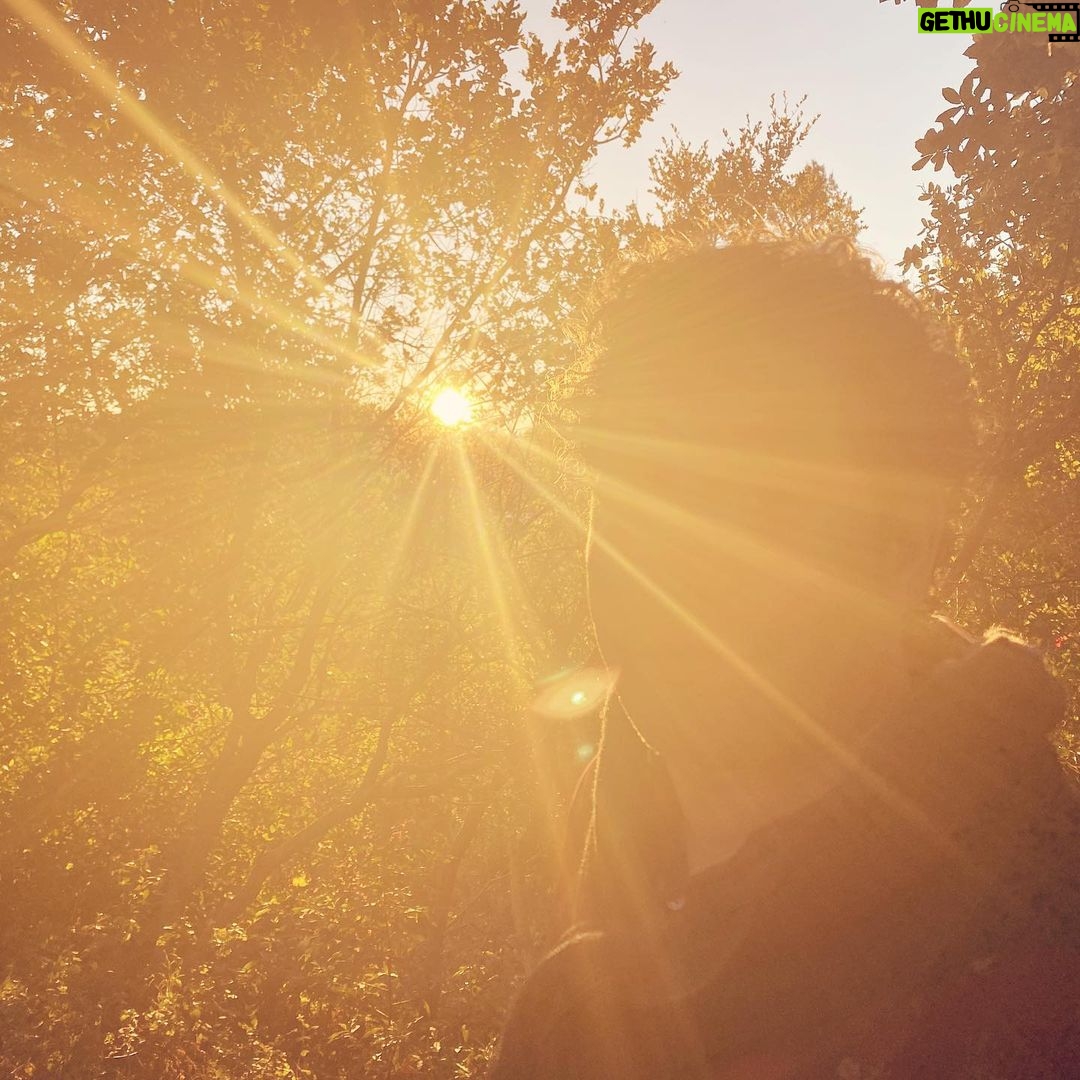 María Valverde Instagram - Here comes the sun…