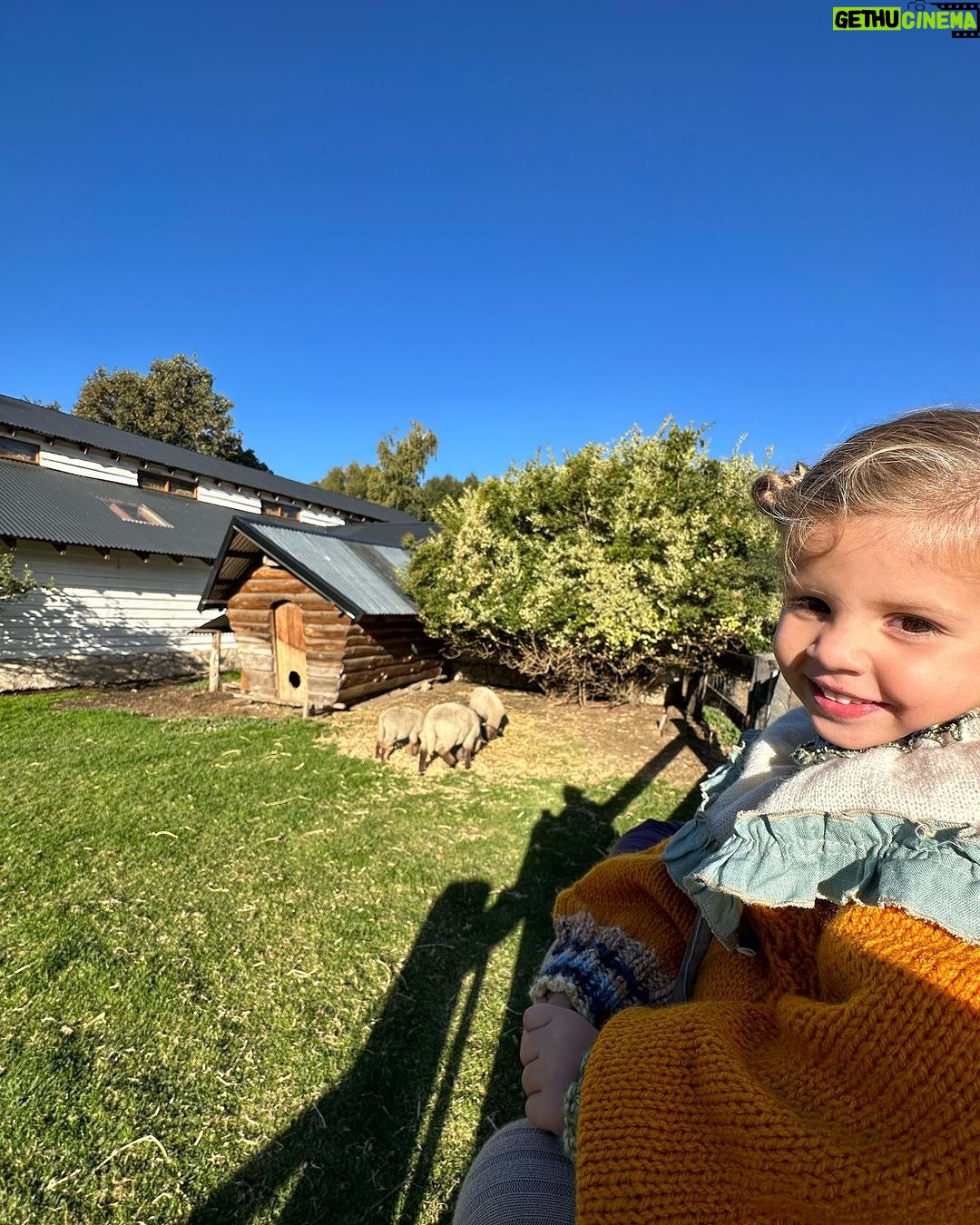 María del Cerro Instagram - Hace unos días en nuestra Amada Patagonia ♥️🏔️⛺️🌈☀️ . Para el civil de mi cuñada y a la distancia…. Con 400 msjes de por medio , Ella @maiteirazu me armo el mejor Look ⛺️ . @bokenoficial