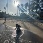 Marcos Veras Instagram - Pausa, porém correndo ☀️🏝️