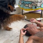Mariano Martínez Instagram - Gorda del amor 🐶❤️😁