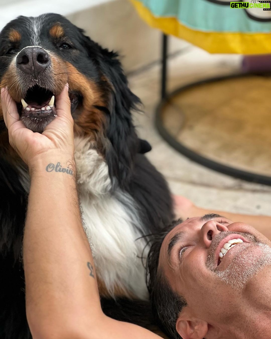 Mariano Martínez Instagram - Gorda del amor 🐶❤️😁