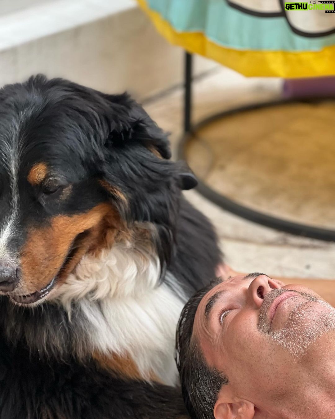 Mariano Martínez Instagram - Gorda del amor 🐶❤️😁