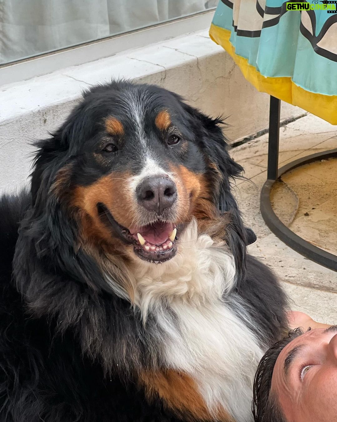Mariano Martínez Instagram - Gorda del amor 🐶❤️😁