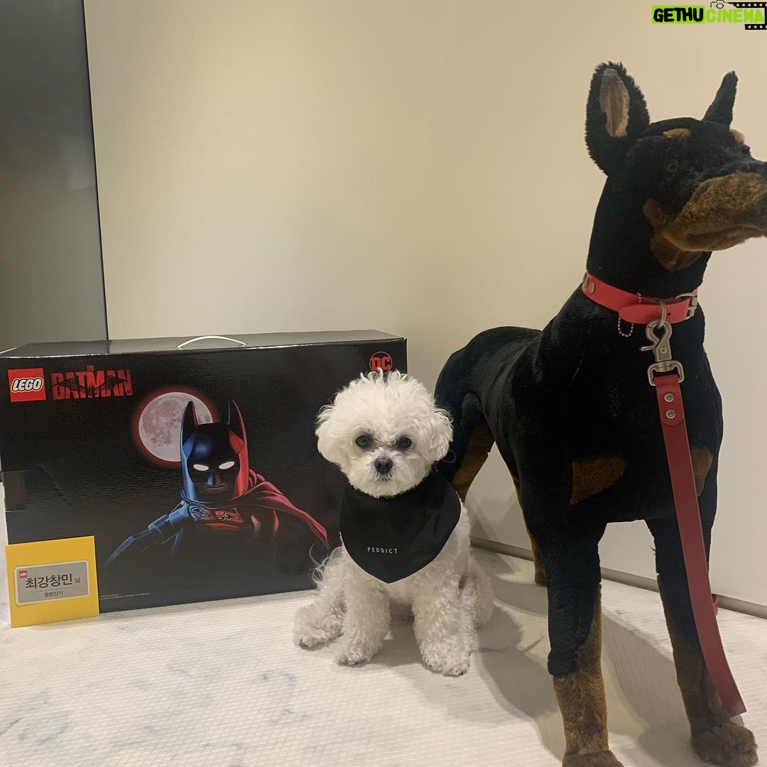 Max Changmin Instagram - 세상에 세상에..! 배트맨 박스 포장부터 너무 멋지다... with 배트견 심버찌🐶 #lego #batman #legokorea #레고코리아 #레고