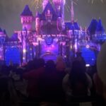 Melissa Fumero Instagram - Best Disney day ever thanks to @bradhoss & @stephaniebeatriz with the most fun crew!! We did every ride. I laughed so hard on Space Mountain I cried hysterically. It was so fun. But!…. Hearing Steph’s voice ring out while randomly walking the park, and then during the epic fireworks show… after knowing her for so long… seeing every up and down through the years.. after all the dressing room talks in her Disney themed dressing room before all this happened… it’s hard to express how magical it is has been to witness. Every time. You deserve it all Steph. I’m so proud to have been a witness to this journey. Love you @stephaniebeatriz ❤️