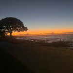 Melissa Fumero Instagram - Hawaii… you are pure magic. 🌺🌺🌺