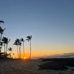 Melissa Fumero Instagram - Hawaii… you are pure magic. 🌺🌺🌺