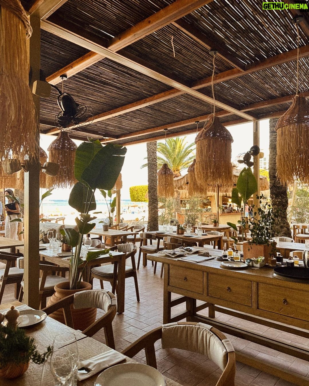 Melissa Roxburgh - 220.3K Likes - Spain diaries
Thank you @melia.hotels.international @zelhotels
