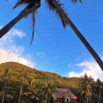 Melissa Roxburgh Instagram - @tokoriki_island_resort you were incredibly special. Vinaka 💛 Fiji Islands