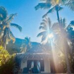 Melissa Roxburgh Instagram - @tokoriki_island_resort you were incredibly special. Vinaka 💛 Fiji Islands