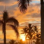 Melissa Roxburgh Instagram - 🌺☀️😊 Maui, Hawaii