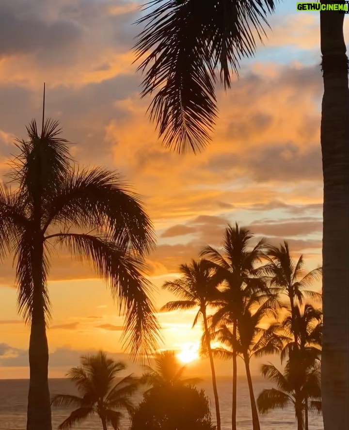 Melissa Roxburgh Instagram - 🌺☀️😊 Maui, Hawaii