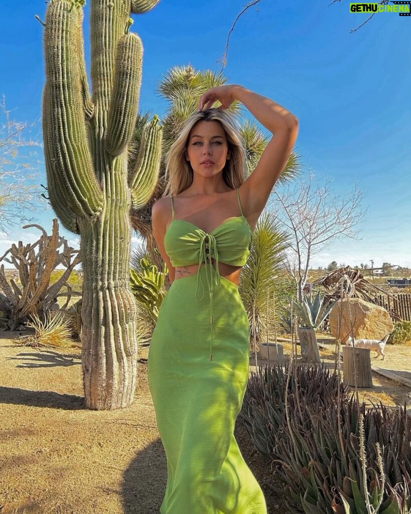Mercedes Blanche Instagram - I like cacti 🌵 Los Angeles, California