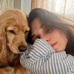 Meriç Aral Instagram - Lokum’a nasıl komut veremiyorum oynat bakalım 🕯️🌕