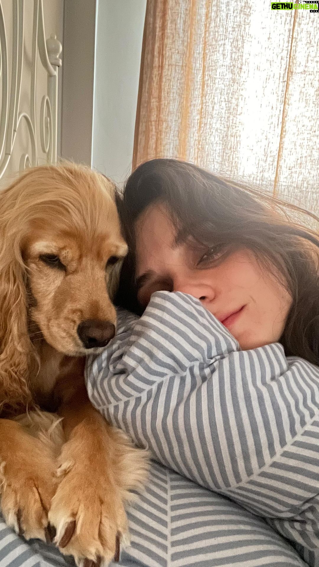 Meriç Aral Instagram - Lokum’a nasıl komut veremiyorum oynat bakalım 🕯️🌕