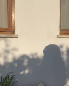 Meriç Aral Instagram - bodrum, eylül ‘23 🌬️🤍✨✨