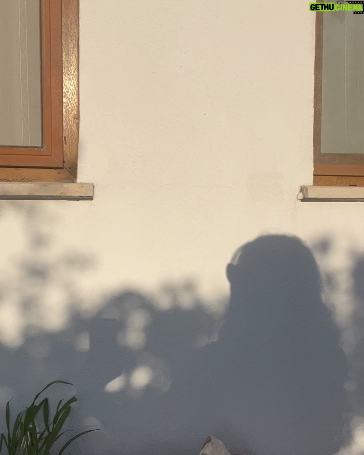 Meriç Aral Instagram - bodrum, eylül ‘23 🌬️🤍✨✨