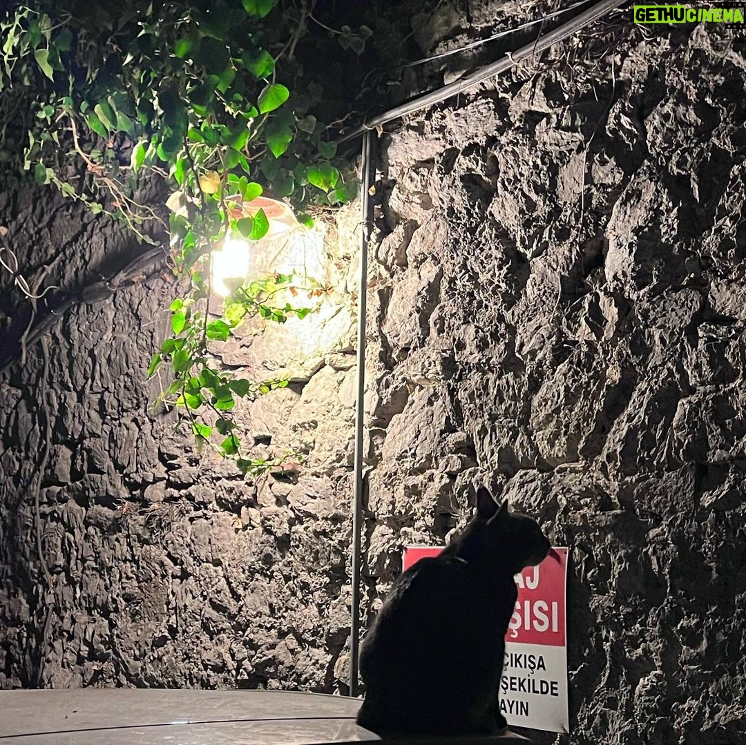 Meriç Aral Instagram - tammmmm okulun ilk günü havası kaygıyla karışık heyecan🥛🤍☁️🍶🫖🍶🥛🍶☁️