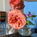 Meriç Aral Instagram - henry james’in ölümsüz eserinden