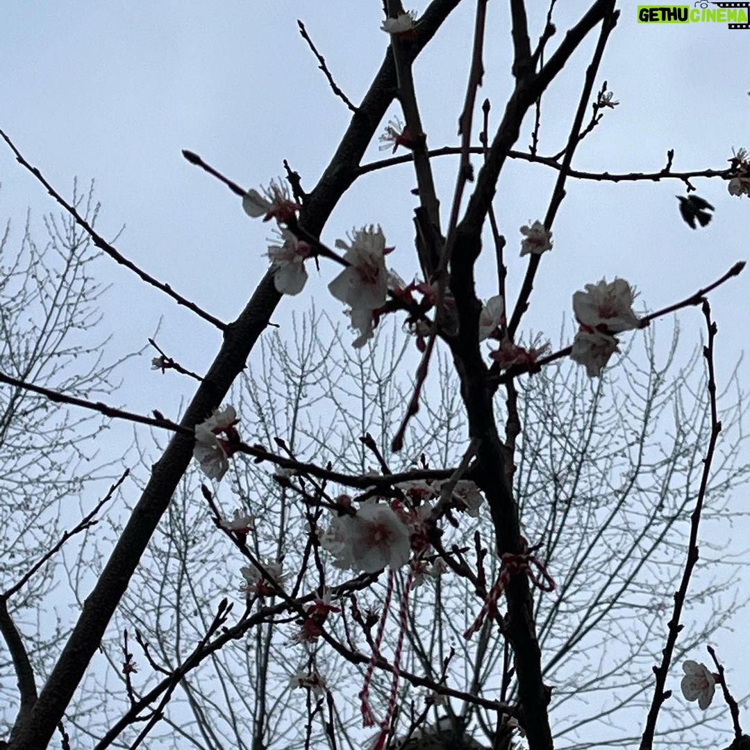 MeriΓ§ Aral Instagram - coping mechanisms appreciation post β¨πππ§π»ββοΈβ‘οΈπππ§Ώπ±πβοΈ