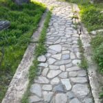 Meriç Aral Instagram - walking the walks🌞💚🍃🫧🪲🌸
