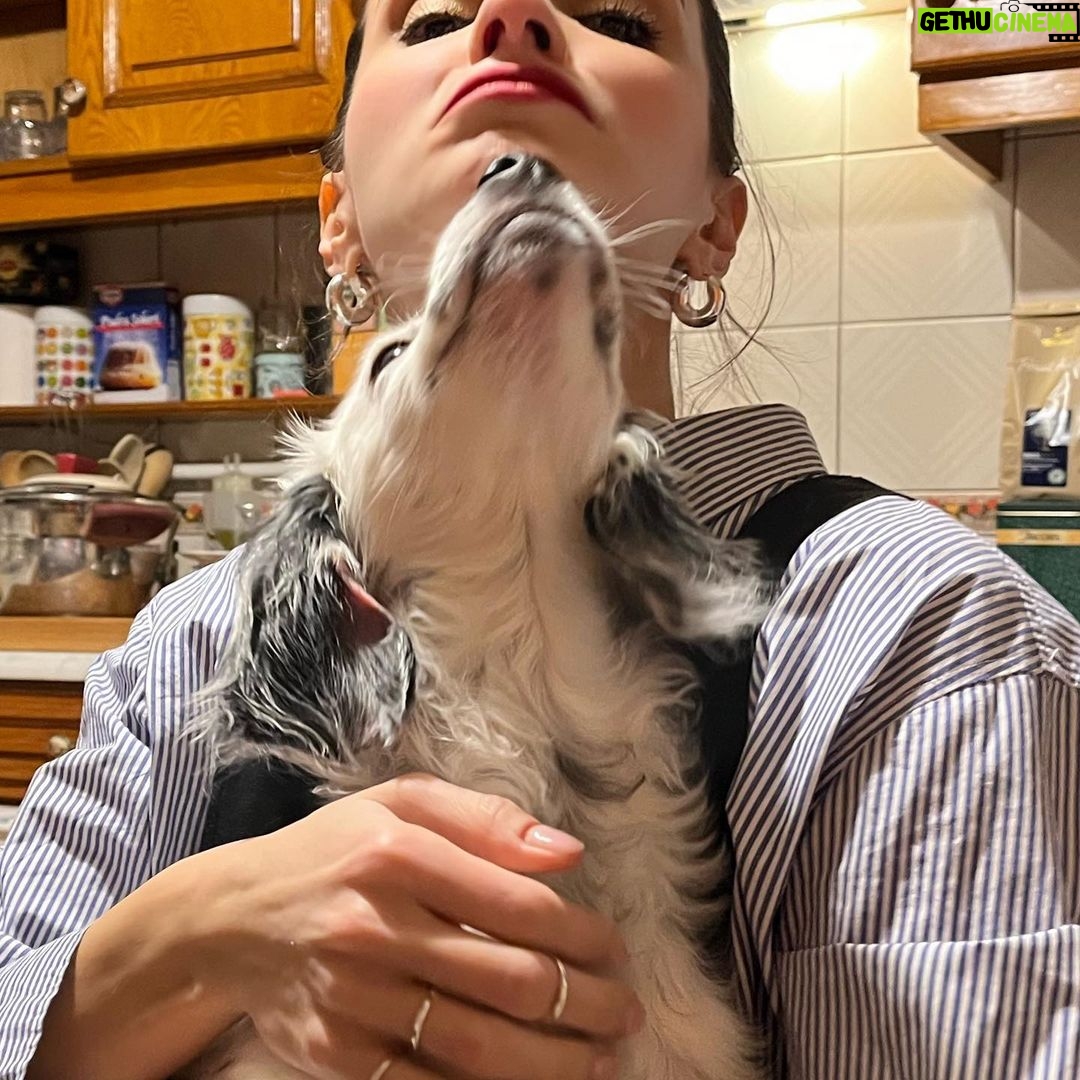 Meriç Aral Instagram - ❤️🧿love yani ask yani amor yani big fan of animals dump🧿❤️