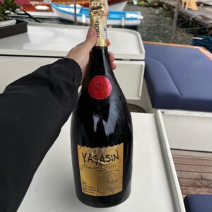Meriç Aral Instagram - tum kutlamalar icin cok tesekkur ederim. dogdugum icin mutluyum 🍾🍾🍾 seviyorum 💕🧿🫧