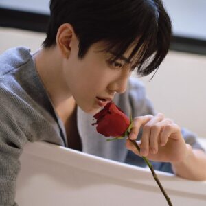 Mike Angelo Instagram - Will you be my Valentines ❤️🌹 . . . #m1keangelo #reels #reelsinstagram #fyp #fypシ #foryoupage #foryou #asian #instagram #instagood #ไมค์พิรัชต์ #valentines Bangkok, Thailand