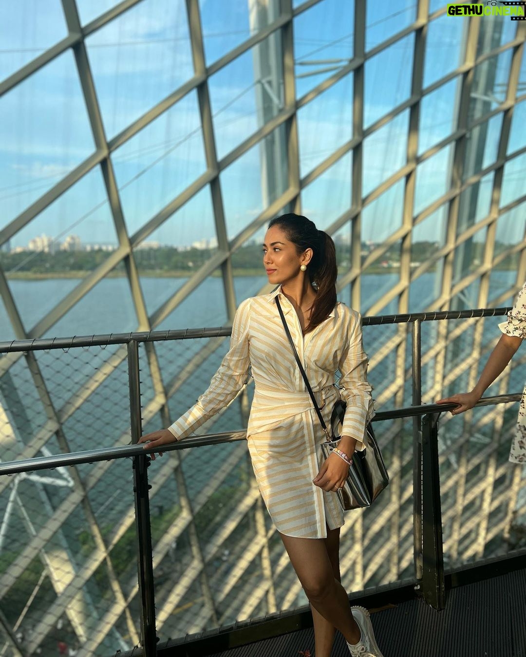 Mira Rajput Instagram - Singapore Sling πΈπ¬