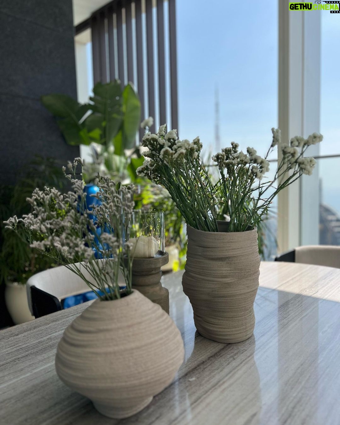 Mira Rajput Instagram - A day in Bloom πΌπ»πΈπ·πΉπΊ