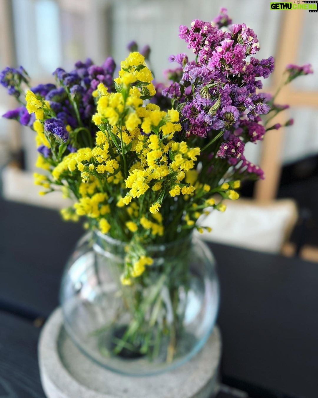 Mira Rajput Instagram - A day in Bloom πΌπ»πΈπ·πΉπΊ
