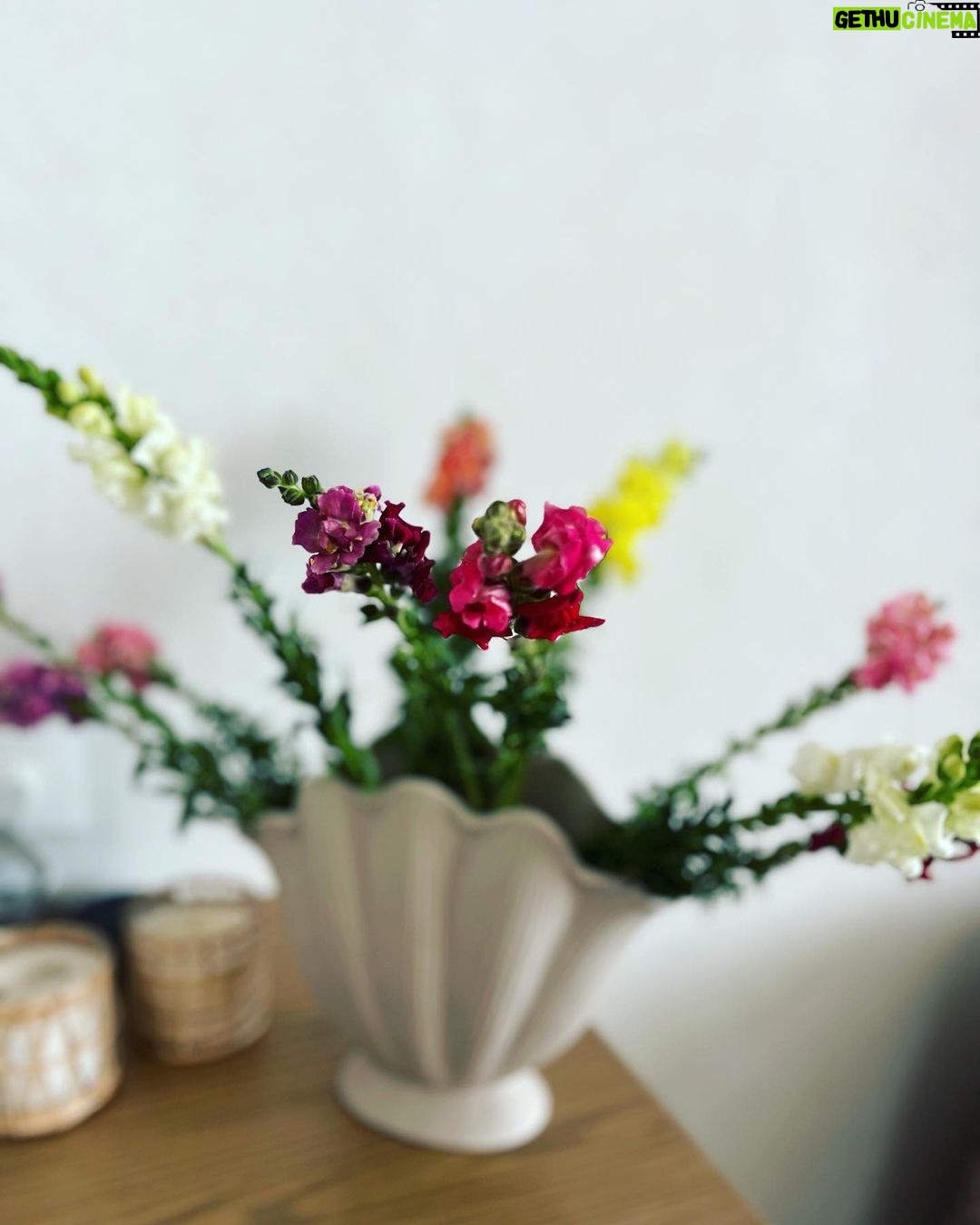 Mira Rajput Instagram - A day in Bloom πΌπ»πΈπ·πΉπΊ