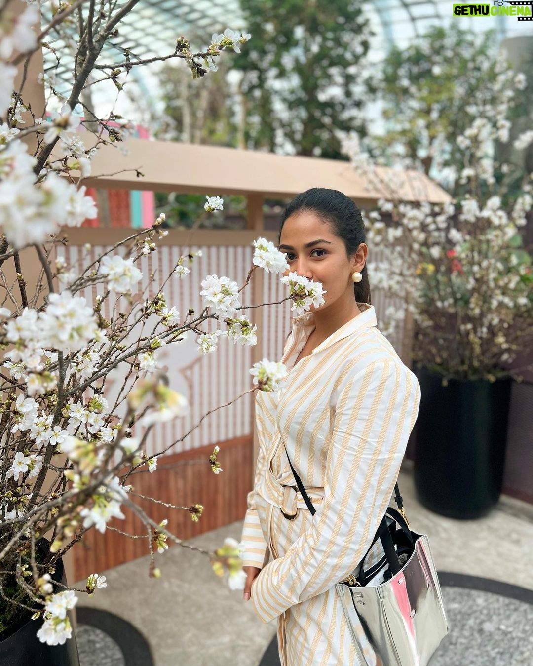 Mira Rajput Instagram - Singapore Sling πΈπ¬