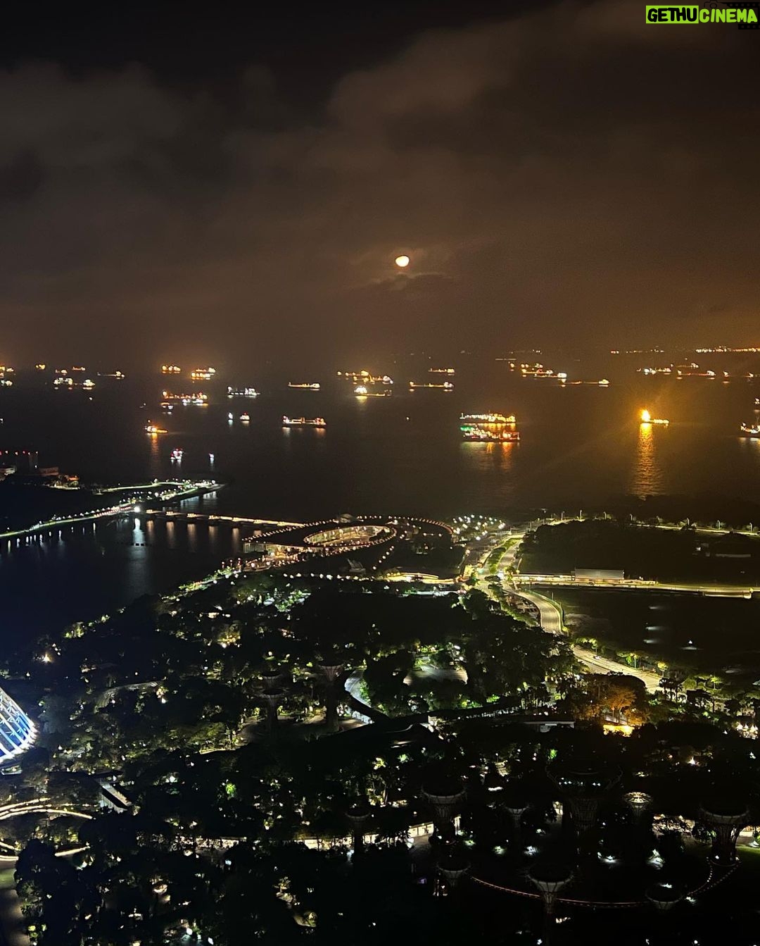 Mira Rajput Instagram - Singapore Sling πΈπ¬
