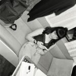 Miray Daner Instagram - Bir yıl önce bir araya geldiğimizdeki inancı ve heyecanı,birbirimize olan güveni hiç kaybetmedik.Bir sezonun sonuna geldik.Güzel anılar biriktirdik ve içimize çok sinen bir iş yaptık.Ayrı ayrı tüm ekip arkadaşlarıma ve bizi her hafta izleyen seyircimize sonsuz teşekkür ederim. #SAYGI #RESPECT @inter_medya @blutv