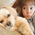 Mirei Kiritani Instagram – 寝てる…よね?
飼い主に負けず劣らず寝顔酷いね😂
#ぱっちゃん