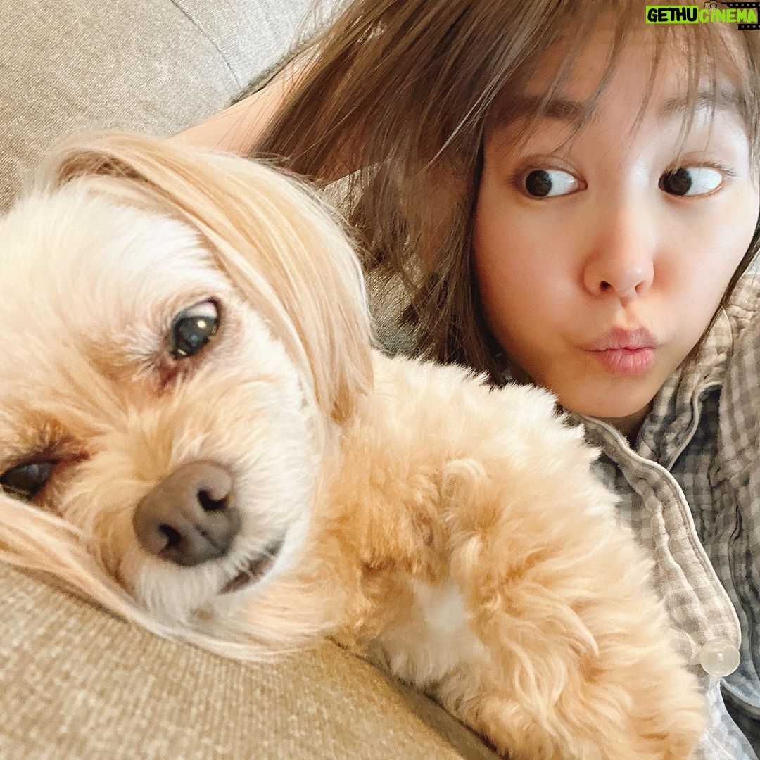 Mirei Kiritani Instagram - 寝てる…よね? 飼い主に負けず劣らず寝顔酷いね😂 #ぱっちゃん
