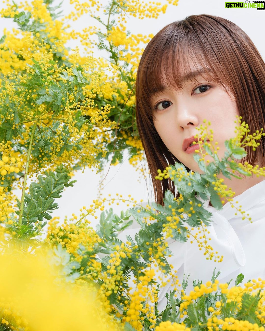 Mirei Kiritani Instagram - 🌼🐝🌼🐝🌼🐝🌼🐝🌼🐝🌼 今日、3月8日は国際女性デー。 女性の生き方を考える日。 私もひとりの働く女性としてとても大切な日だと思っています😌 私がアンバサダーを務めているゲランも、WOMEN FOR BEESという、女性養蜂家を育成するプログラムを実施しているそうです🐝 女性の自立支援とミツバチ保護活動を目指しているもので、応援していきたい活動の1つ。 そして、私のスキンケアにかかせない #アベイユロイヤル コルシカハニーたっぷりの #キスキスビーグロウ 天然由来成分最大95%のフレグランス、#アクアアレゴリア など、 ミツバチを大切にしているゲランだからこそ、ハチミツや自然の恵みから生まれた素敵なコレクションがたくさん。 製品の開発背景や環境に与える影響なども興味深く、日々勉強です✏️ @guerlain #ゲラン #WomenforBees #国際女性デー #Guerlain_ambassador 🌼🐝🌼🐝🌼🐝🌼🐝🌼🐝🌼