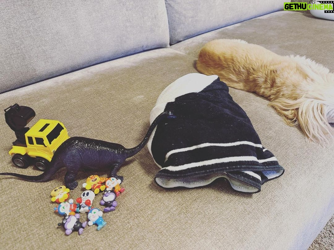 Mirei Kiritani Instagram - 頭痛で突っ伏していたら、保冷剤をタオルで包んでもってきてくれて、宝物達をそばに置いてくれた👦🏻 すぐに隣に寄り添ってくれた🐶 君たちのおかげで元気になったよ😌❤️