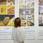 Mirei Kiritani Instagram – ゲランのサステナビリティを体現するコレクション〈アクア アレゴリア〉より自然の稀少な素材を使ったオーデトワレ〈アクア アレゴリア ハーベスト〉が5/1に発売。今年しか手に入らない数量限定コレクションだそうです🥹✨
そして、オーデパルファン〈アクア アレゴリア フォルテ〉には、新たに〈ネロリア ベチバー〉が仲間入り。
私は、このネロリアベチバーが1番お気に入りの香りで、出かける前やリフレッシュしたいときにワンプッシュしています☺️
ゲランが長年に渡って取り組んでいるミツバチ保護活動や女性養蜂家の育成支援など、サステナビリティに関する活動もいつも興味深く、読み入っちゃう。
頭フル回転させて、知識をインプットしていく作業は楽しいね🐝
@guerlain
#ゲラン
#アクアアレゴリア
#Guerlain_ambassador