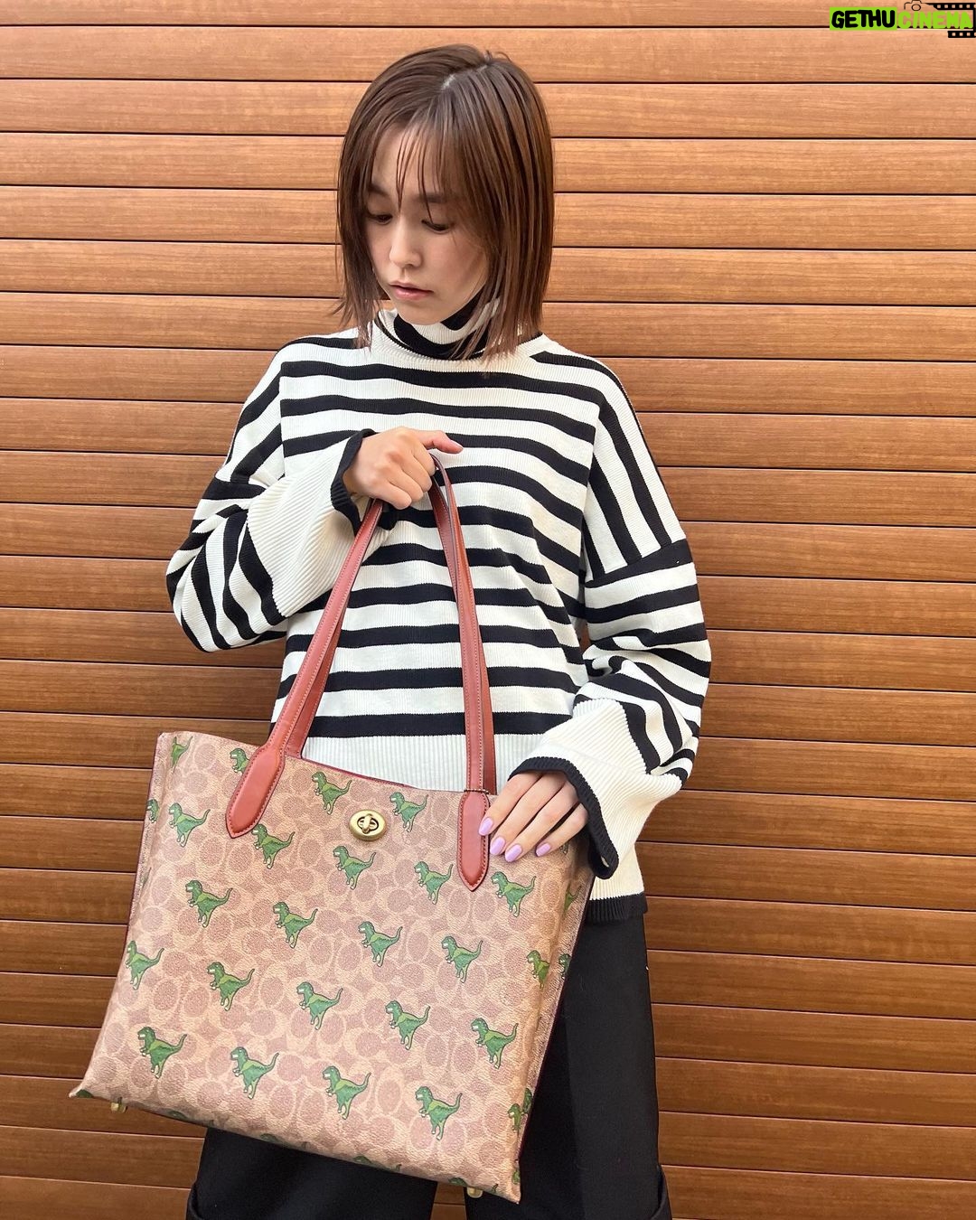 Mirei Kiritani Instagram - 恐竜にハマっている👦🏻がcoachのRexyバッグに大興奮。 いっぱい入るからこれもって公園いこ☺️ #CoachNY #CoachJapan #コーチレキシー