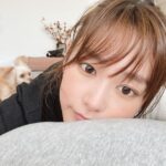 Mirei Kiritani Instagram - あったかいねぇ。公園から帰ってきてほげほげ中。 躍動感あふれるぱっちゃん撮れたよ🤣 良い休日を…🧡