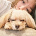 Mirei Kiritani Instagram - Kawaii🐶 #ぱっちゃん