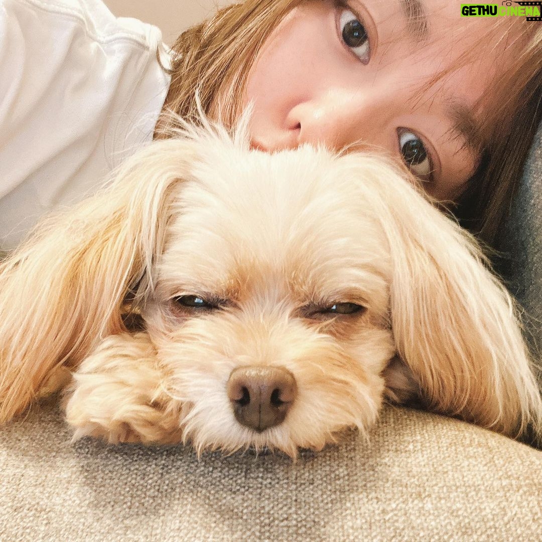 Mirei Kiritani Instagram - Kawaii🐶 #ぱっちゃん