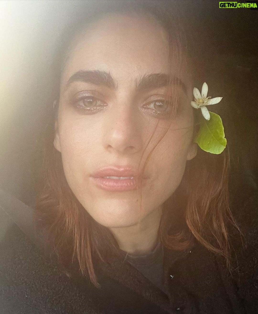 Miriam Leone Instagram - Zagara 🍋 #love #sicily #madeinsicily #accussí Sicilia, Italy