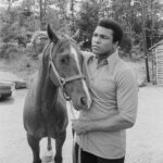 Muhammad Ali Instagram – Greeting the first day of spring with the same vigor and brightness that Ali brought to the ring! ⁣
⁣
 ⁣
#MuhammadAli #Icon #Champion #GOAT #Boxing #Spring #FirstdayofSpring