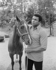 Muhammad Ali Instagram - Greeting the first day of spring with the same vigor and brightness that Ali brought to the ring! ⁣ ⁣ ⁣ #MuhammadAli #Icon #Champion #GOAT #Boxing #Spring #FirstdayofSpring