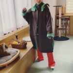 Nana Seino Instagram - 『婚姻届に判を捺しただけですが』 今夜第8話です。 おもち🐈のおもちゃで遊んでます。 おつかれーらいす #ハンオシ
