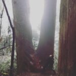 Nana Seino Instagram - 神様のカルテみてくれてるかな。 最終は引き続き最後までご覧ください。 おつかれーらいす。
